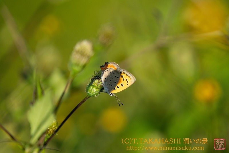 ../Images/7R241013 (470).jpg